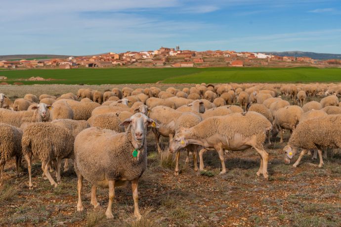 Ayuntamiento Argente - foto del pueblo